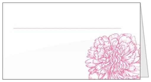 Anyone DIY-ing their escorts/place cards with design?