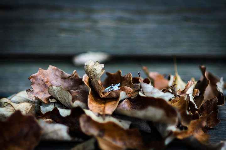 Got my E-pics back!!! (pic heavy)