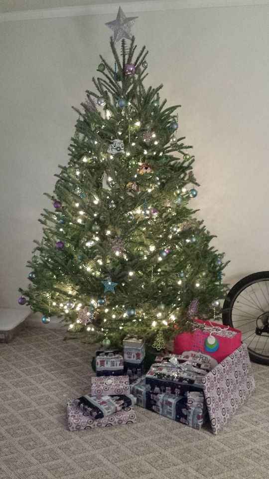 NWR - Alright, who's got their tree up?!