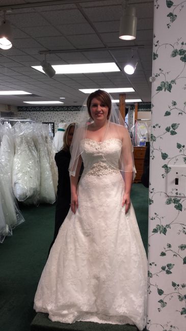 Bought my dress: Me vs. The Model