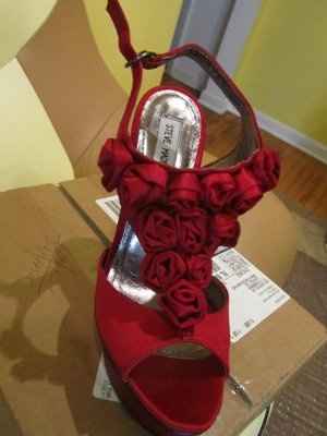 Shoe Fanatic....Can I see yours :)