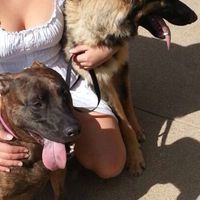 Happy Friday! FURBABY BIRTHDAY!!