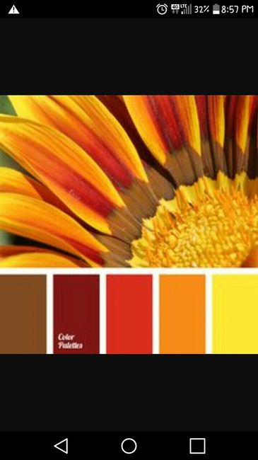 Colors