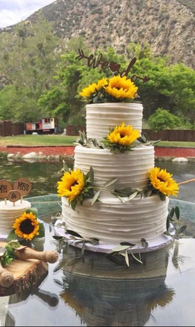 Cake - White or Colorful? 2