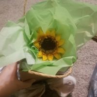 Pop the question to the party - 1