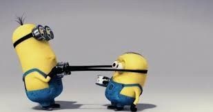 NWR: Funny pictures