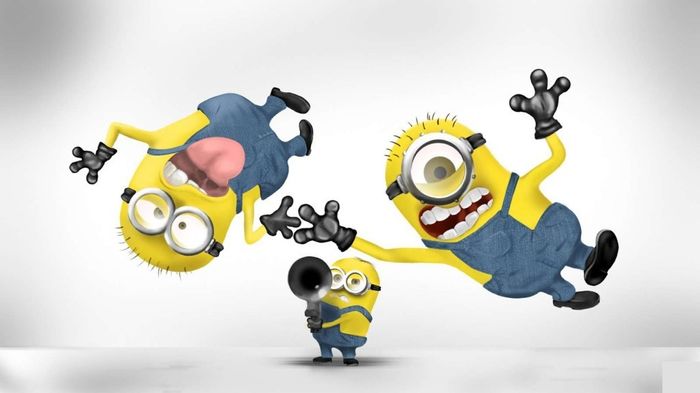NWR: Funny pictures