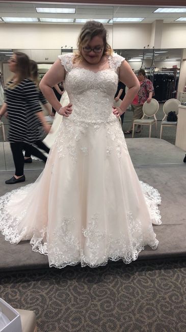 Show me you Davids Bridal Dress - 1