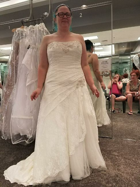 Veil vs birdcage vs hair jewelry - 1
