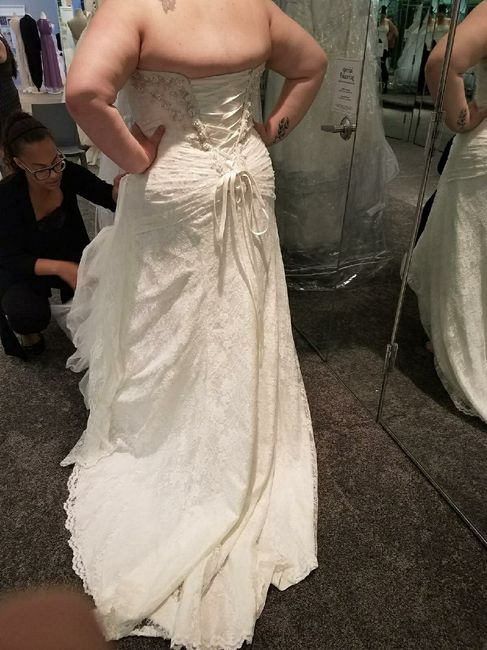 Veil vs birdcage vs hair jewelry - 2