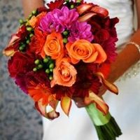 HELP-does anyone else...?