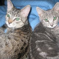 Show off your furbabies!