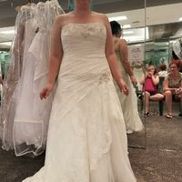 Veil vs birdcage vs hair jewelry - 1