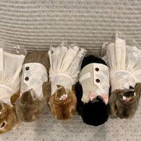 California November brides? - 1