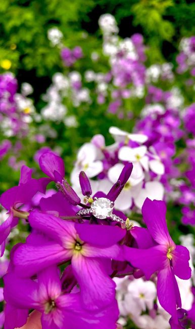 Brides of 2020!  Show us your ring! 12