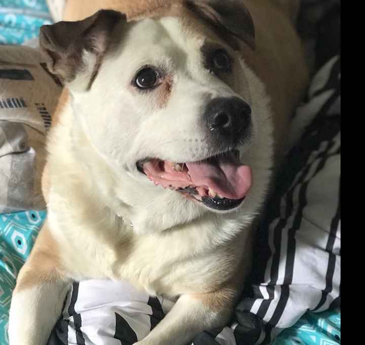 Need to take your mind off wedding planning? - 1