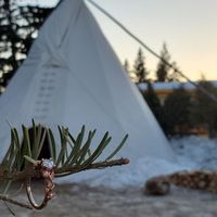 Show me your engagement photos! - 2