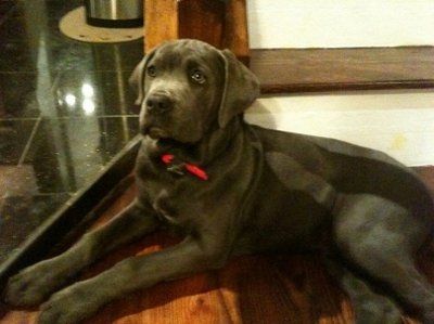 need help settling a looooong argument (NWR)