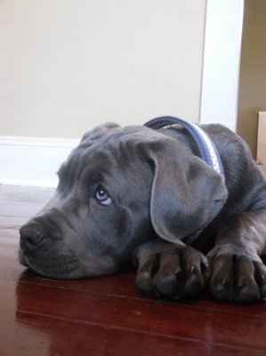 need help settling a looooong argument (NWR)