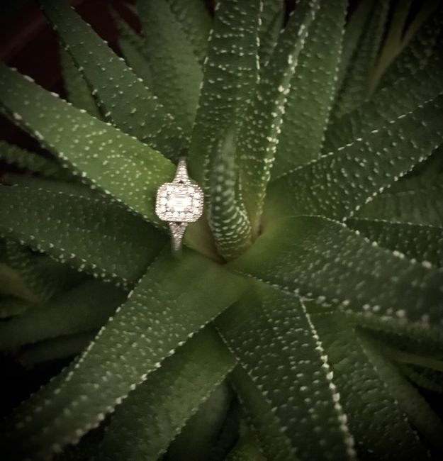 Rings💍💍💍 - 2