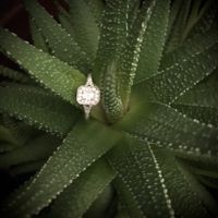 Rings💍💍💍 - 2