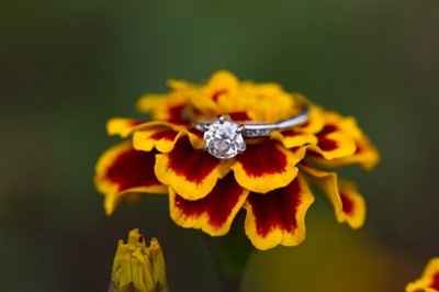 Is it time to show off *BLING?!* I haven't been on here in ages, & I don't know if you've had one, b