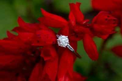 Why did you choose your ring?  What do you love about it?