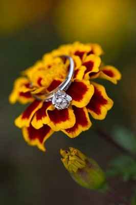 Why did you choose your ring?  What do you love about it?