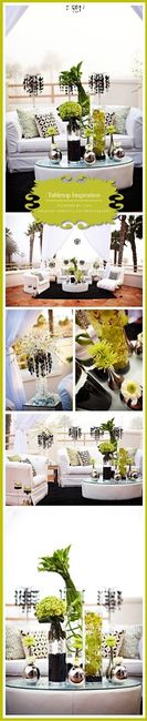 What do they look like....???