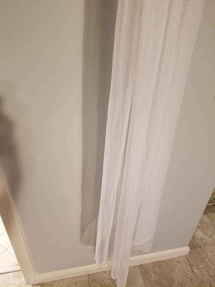 So excited to wear my dress in 53 days!!!! - 2