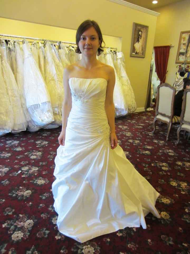 Brand new here - Dress Doubts