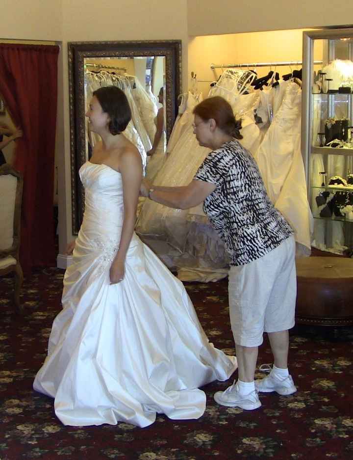 Brand new here - Dress Doubts