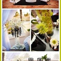 What do they look like....???