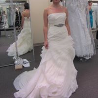 Brand new here - Dress Doubts