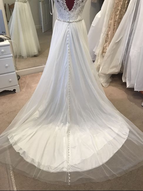 Dress bustle- pics - 1