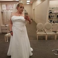 Show me you Davids Bridal Dress - 1