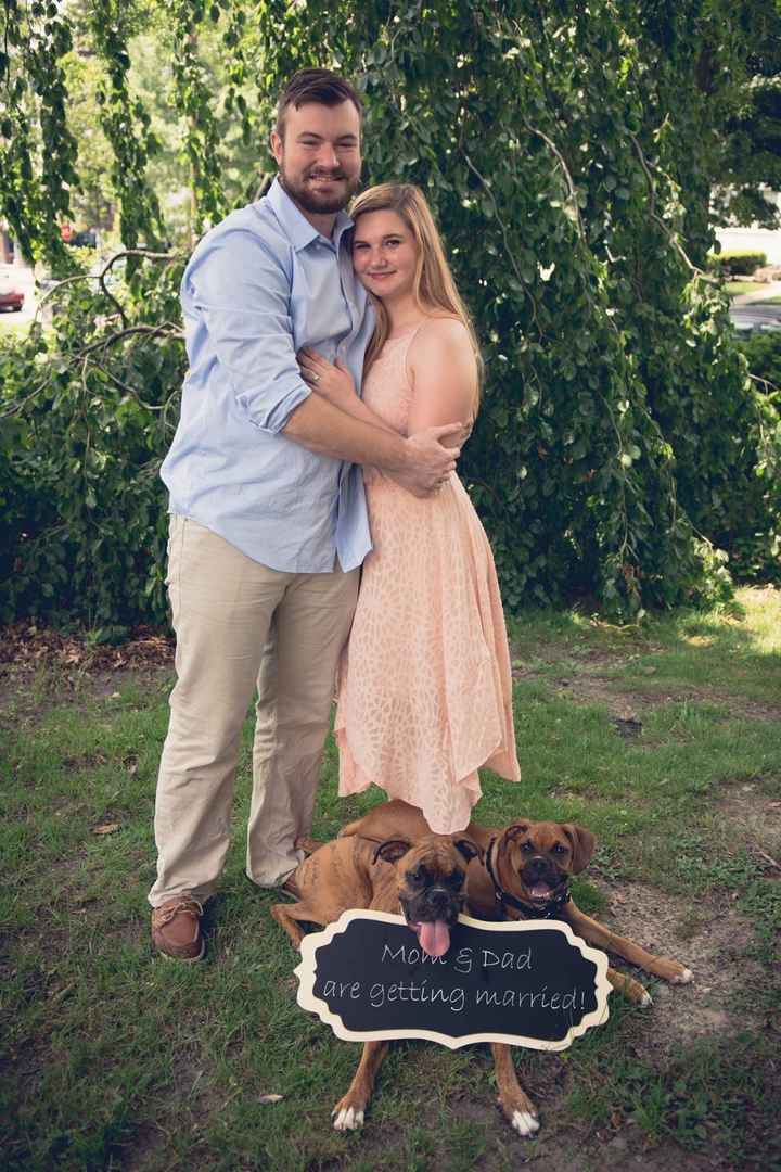 Engagement pictures with doggies
