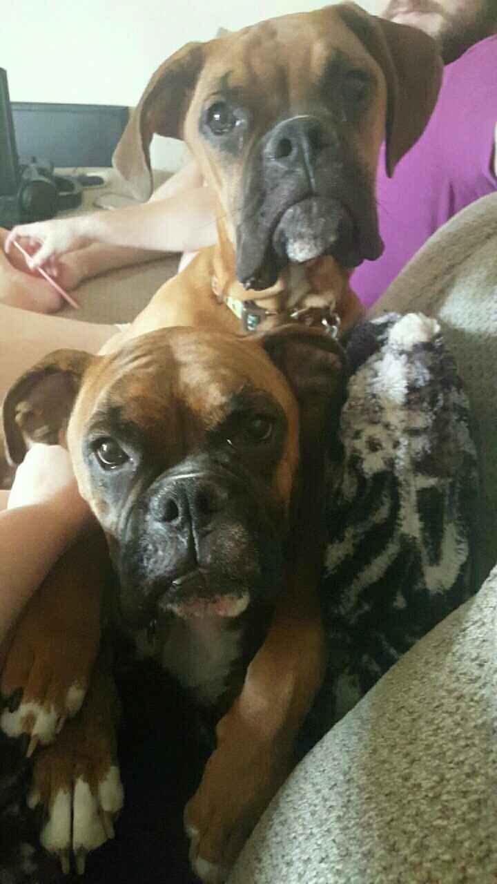 NWR- pets! We love them show me yours :)