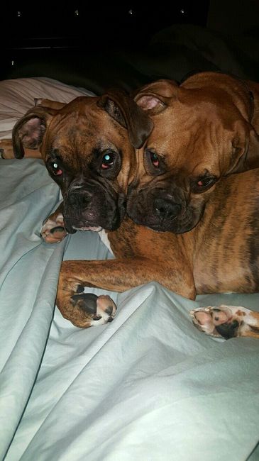 NWR: Puppy Friday!!