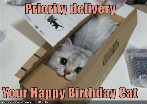 HAPPY BIRTHDAY MRS S!!!!!