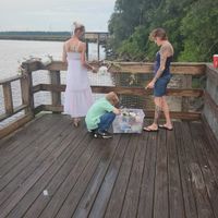 Very small budget - 4