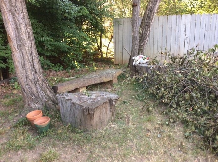 Very old stump tables