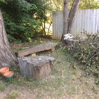 Very old stump tables