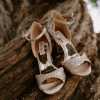 Badgley Mischka Roxy Heels