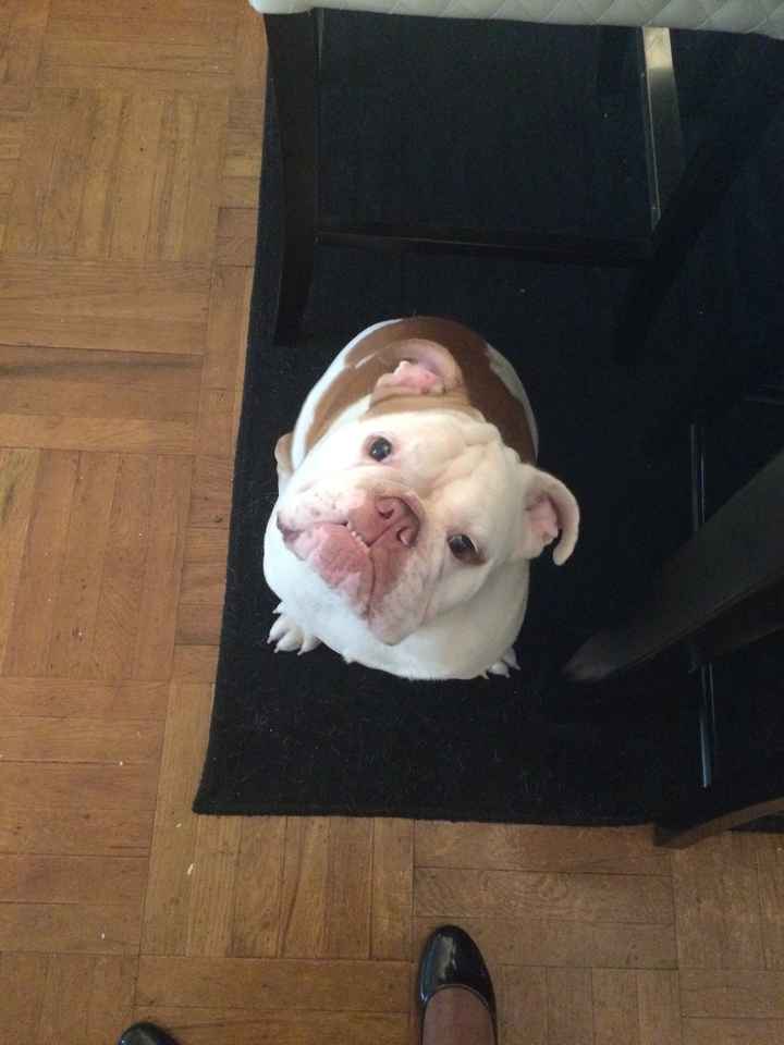 Short & Sweet Introduction!