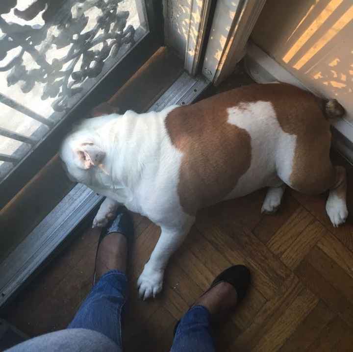 NWR:  Thursday Fursday