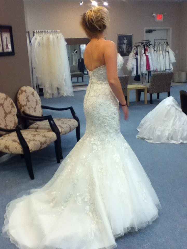I said YES to the dress!!   (PICS)