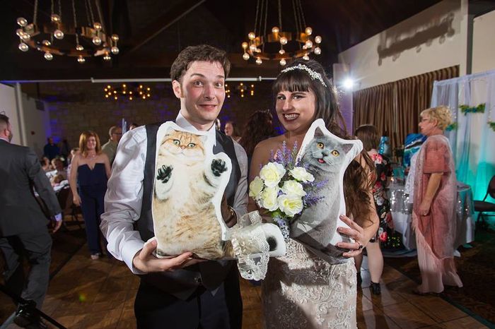 Cat toss! Instead of bouquet/garter