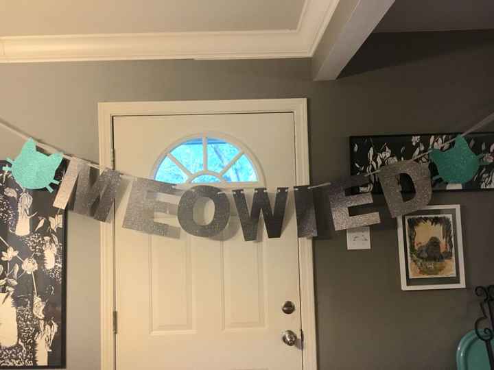 Can’t stop, won’t stop, cats 😹 - 1