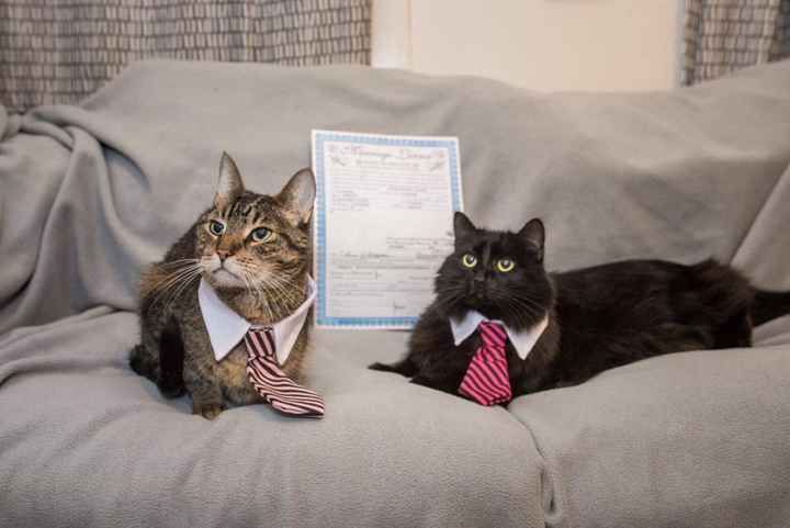 Wedding Shoe Soulmate - 1